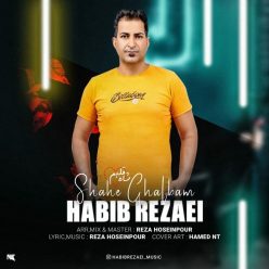 Habib Rezaei – Shahe Ghalbam